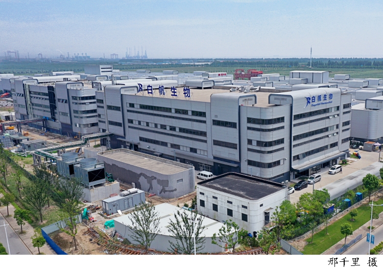 国内首个无交叉抗体工厂在临港投产 高端单抗药物迈入规模化生产新纪元