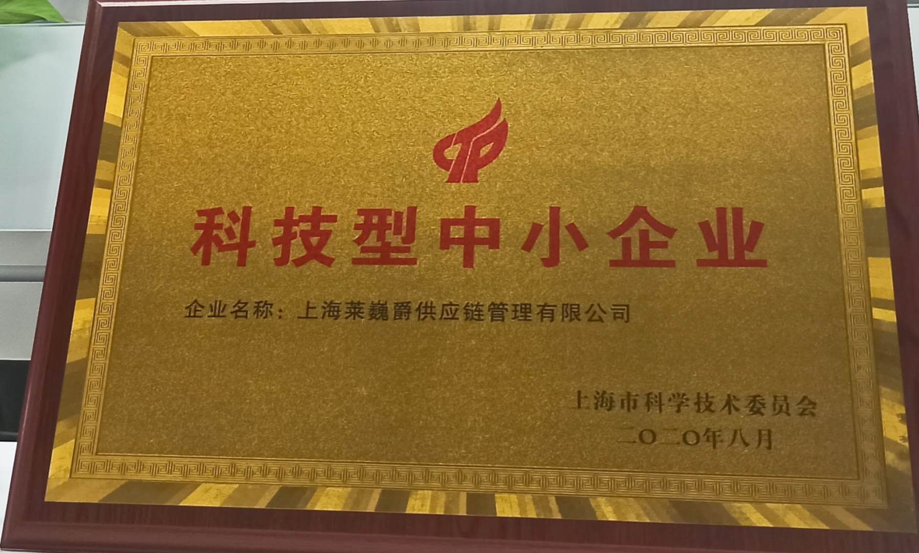 恭贺LEVERAGE获评上海市科委科技型中小企业，彰显科技企业创新实力