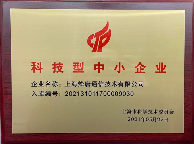 科技型中小企业与上海科技企业的创新驱动发展